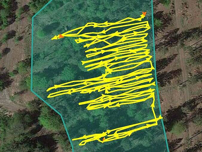 GPS Aufzeichnung der Forstraupe Moritz bei der Pflanzvorbereitung